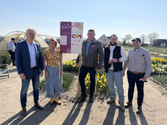 Highlighted image: Openingsborrel CNB Narcissenshowtuin Bollenstreek